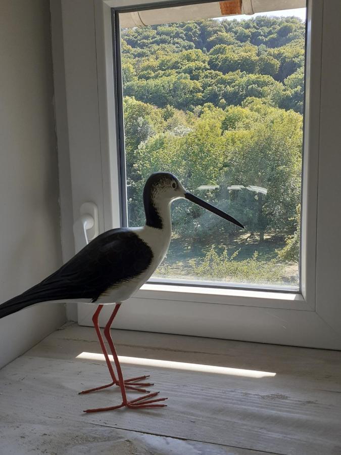 Ferienwohnung La Grange Aux Oiseaux Arnaville Exterior foto